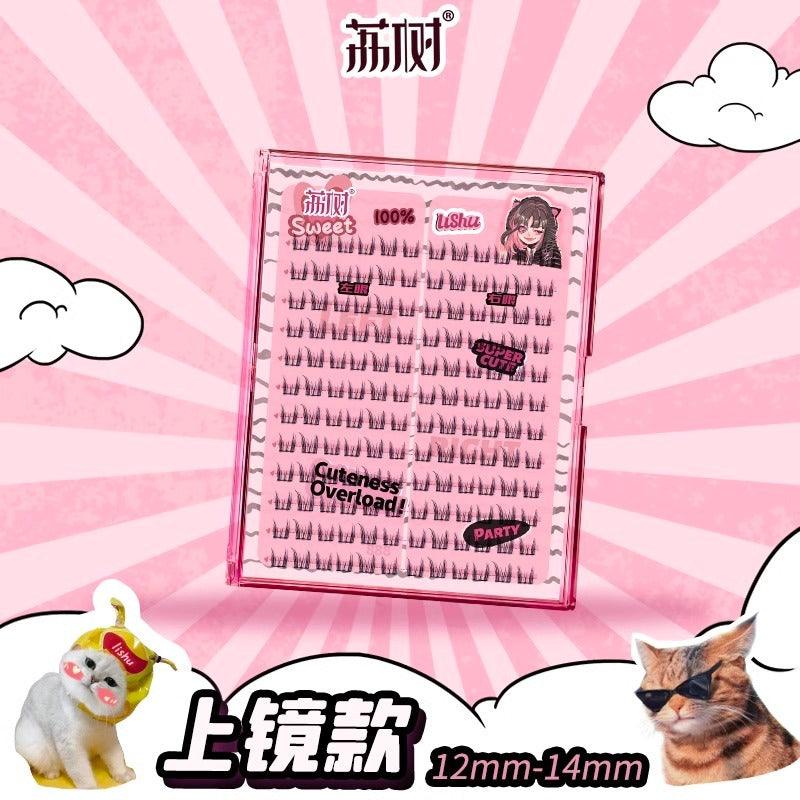 A Plus False Eyelashes Book 144