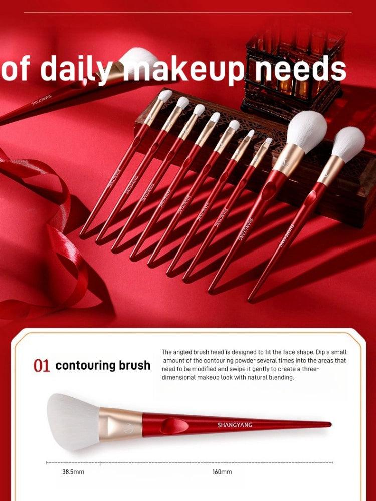 Beauty Face 10 Brushes Set