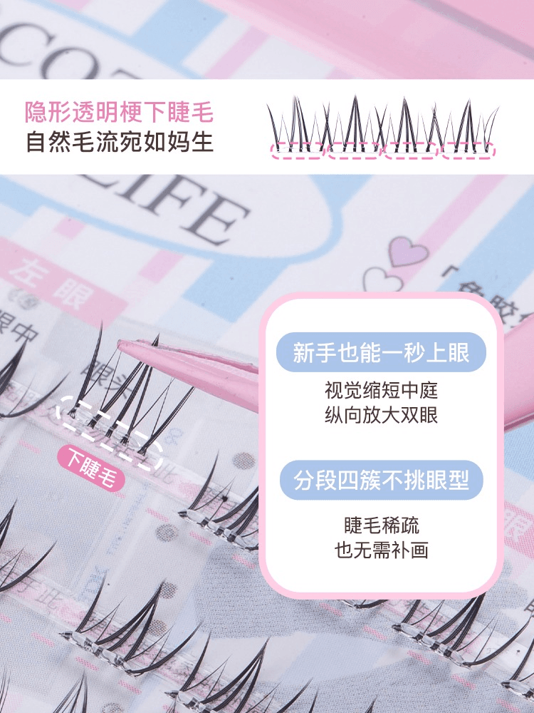 Flortte Cozy Daily Life Glue Free False Eyelashes